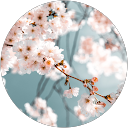 Ranya 7assan profile picture